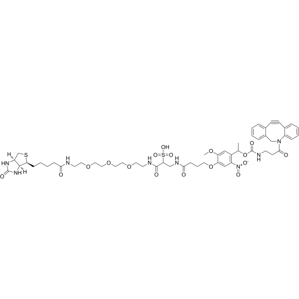 WSPC Biotin-PEG3-DBCO